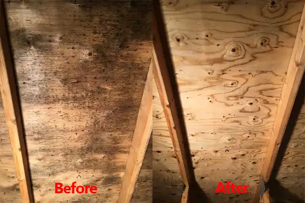water damage restoration service Farmington